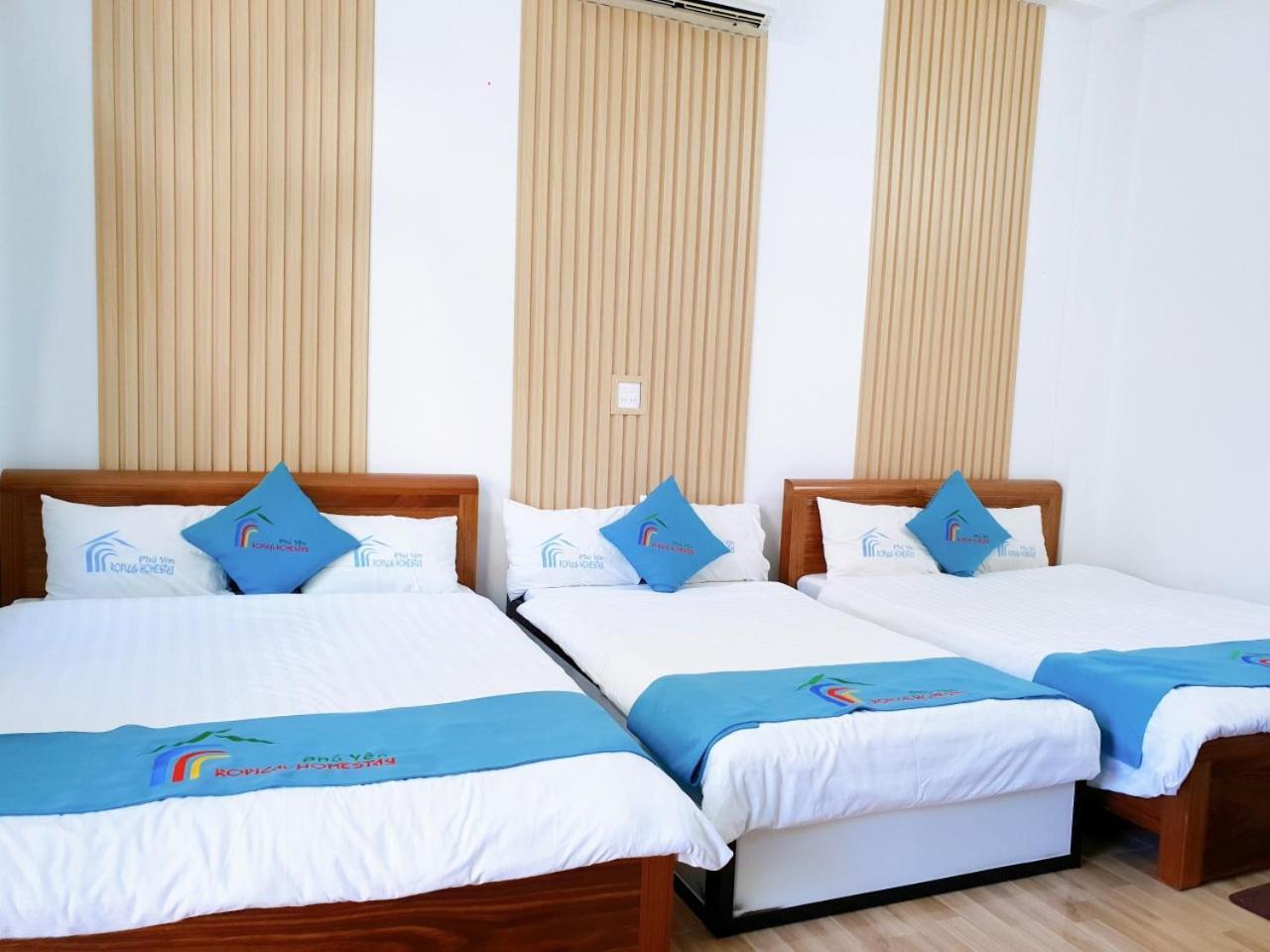 Tropical Homestay Phu Yen 투이호아 객실 사진